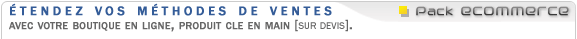 Ecommerce, votre boutique en ligne cl&eacute; en main